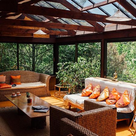 Kawai Purapura Yoga Retreat Centre Otel Auckland Dış mekan fotoğraf