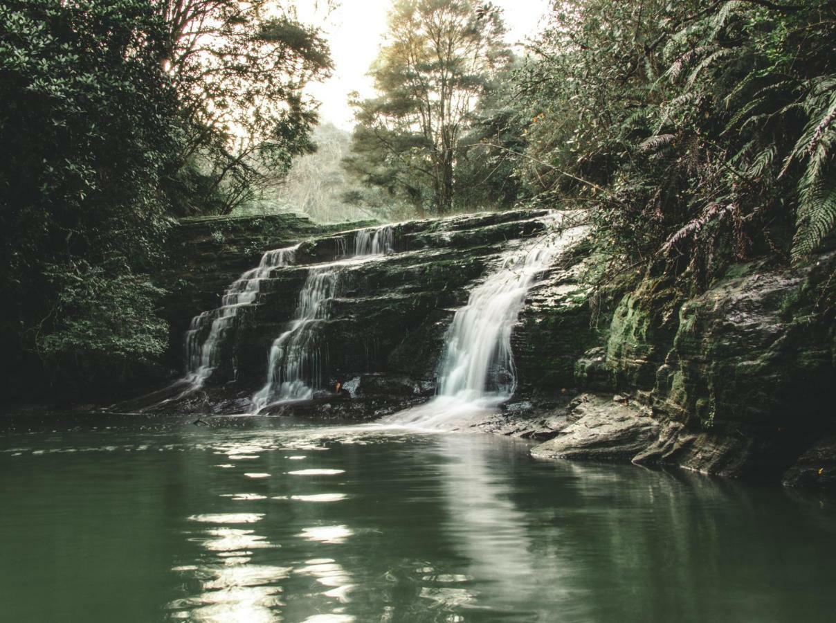Kawai Purapura Yoga Retreat Centre Otel Auckland Dış mekan fotoğraf